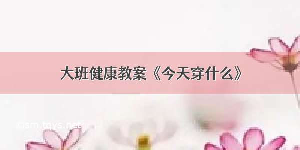 大班健康教案《今天穿什么》