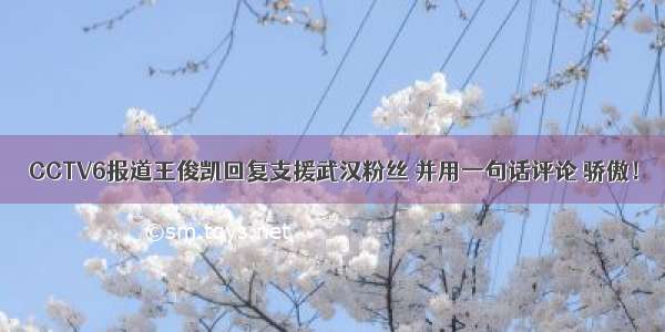 CCTV6报道王俊凯回复支援武汉粉丝 并用一句话评论 骄傲！