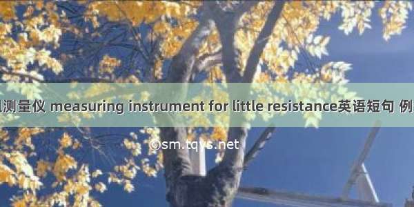 小电阻测量仪 measuring instrument for little resistance英语短句 例句大全