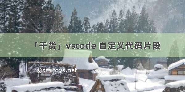 「干货」vscode 自定义代码片段