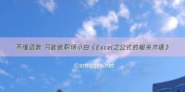 不懂函数 只能做职场小白《Excel之公式的相关术语》