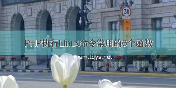 PHP执行Linux命令常用的6个函数