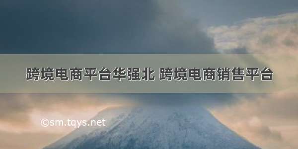 跨境电商平台华强北 跨境电商销售平台