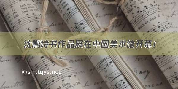 沈鹏诗书作品展在中国美术馆开幕！