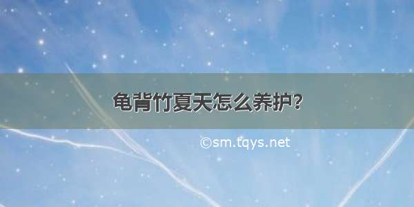 龟背竹夏天怎么养护？