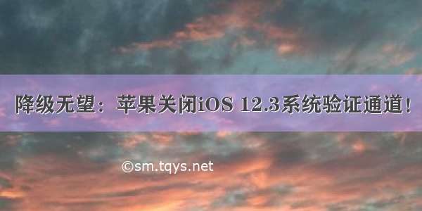 降级无望：苹果关闭iOS 12.3系统验证通道！