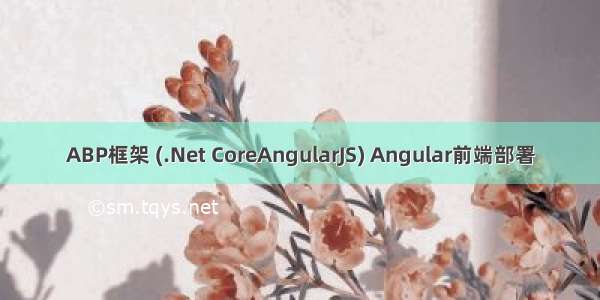 ABP框架 (.Net CoreAngularJS) Angular前端部署