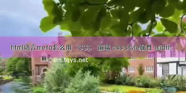 html语言meta怎么用 – CSS – 前端 css style属性 width