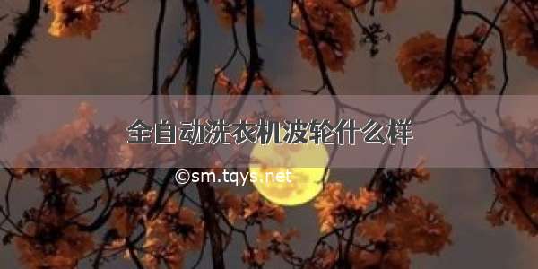 全自动洗衣机波轮什么样