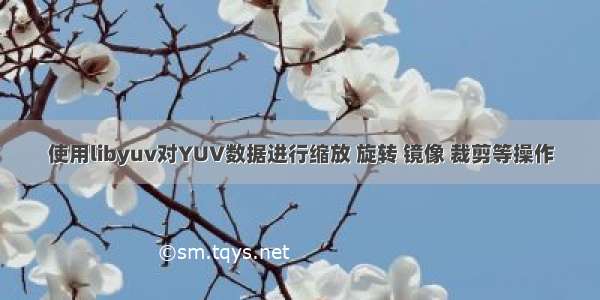 使用libyuv对YUV数据进行缩放 旋转 镜像 裁剪等操作