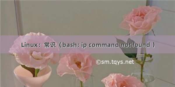 Linux：常识（bash: ip command not found ）