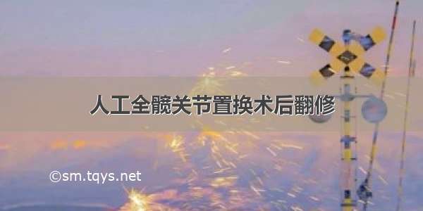 人工全髋关节置换术后翻修