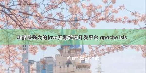 功能最强大的java开源快速开发平台 apache isis