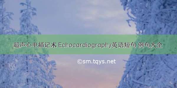 超声心电描记术 Echocardiography英语短句 例句大全