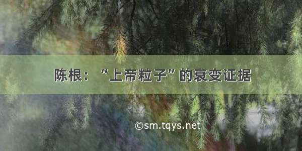 陈根：“上帝粒子”的衰变证据