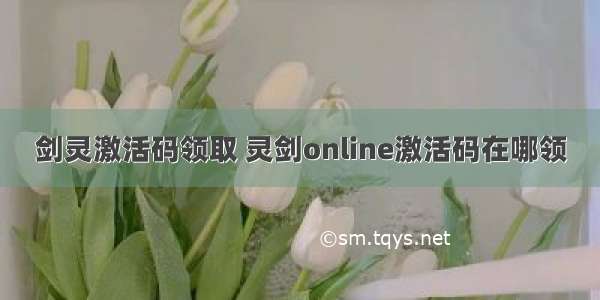 剑灵激活码领取 灵剑online激活码在哪领