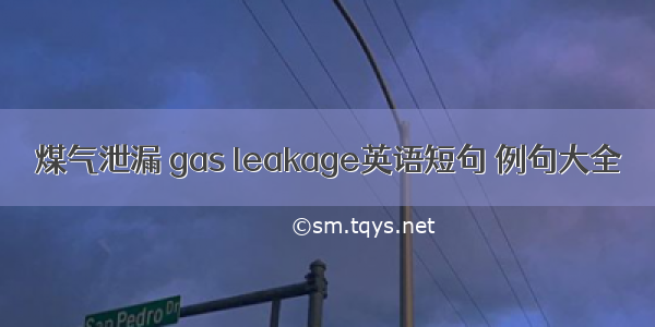 煤气泄漏 gas leakage英语短句 例句大全