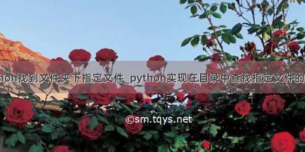 python找到文件夹下指定文件_python实现在目录中查找指定文件的方法