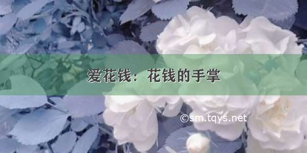 爱花钱：花钱的手掌