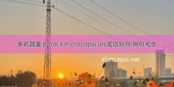 多孔微囊 porous microcapsules英语短句 例句大全