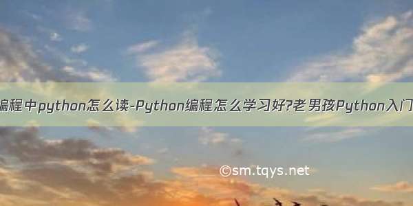 编程中python怎么读-Python编程怎么学习好?老男孩Python入门