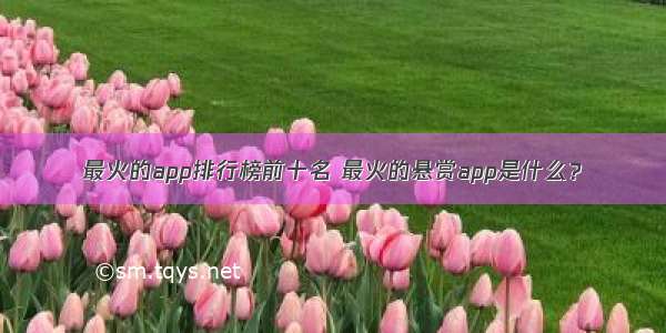 最火的app排行榜前十名 最火的悬赏app是什么？