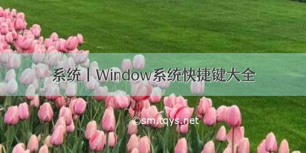 系统丨Window系统快捷键大全