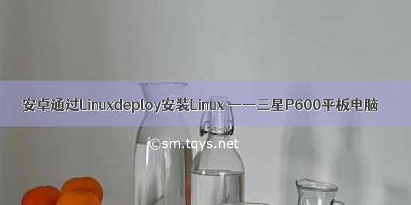 安卓通过Linuxdeploy安装Linux ——三星P600平板电脑