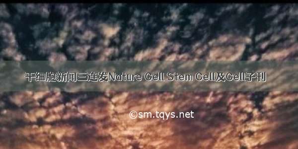 干细胞新闻三连发Nature Cell Stem Cell及Cell子刊