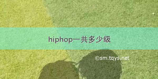 hiphop一共多少级