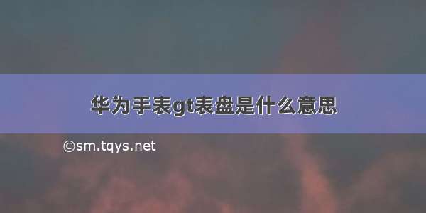 华为手表gt表盘是什么意思