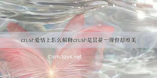 crush爱情上怎么解释crush是昙花一现但却唯美