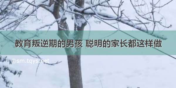 教育叛逆期的男孩 聪明的家长都这样做