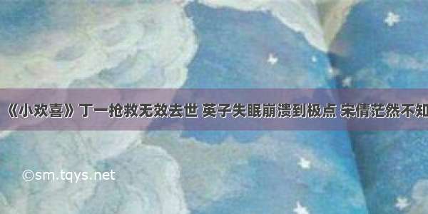 《小欢喜》丁一抢救无效去世 英子失眠崩溃到极点 宋倩茫然不知