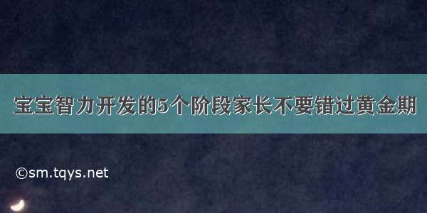 宝宝智力开发的5个阶段家长不要错过黄金期