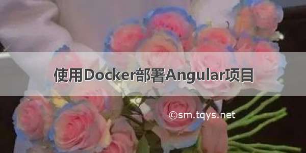 使用Docker部署Angular项目