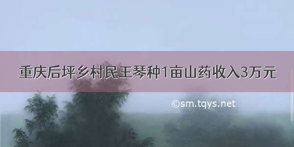 重庆后坪乡村民王琴种1亩山药收入3万元