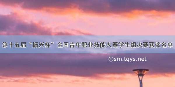 第十五届“振兴杯”全国青年职业技能大赛学生组决赛获奖名单