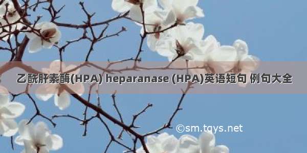 乙酰肝素酶(HPA) heparanase (HPA)英语短句 例句大全