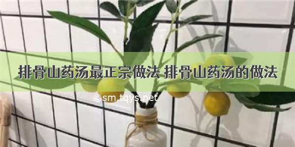 排骨山药汤最正宗做法 排骨山药汤的做法