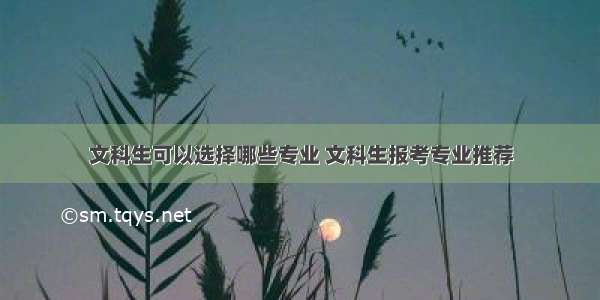 文科生可以选择哪些专业 文科生报考专业推荐