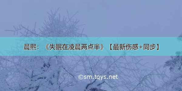 晨熙：《失眠在凌晨两点半》【最新伤感+同步】