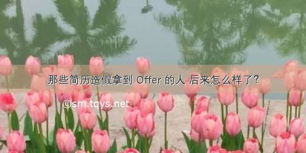 那些简历造假拿到 Offer 的人 后来怎么样了？