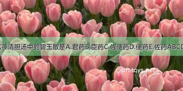 蒿芩清胆汤中的碧玉散是A.君药B.臣药C.佐使药D.使药E.佐药ABCDE