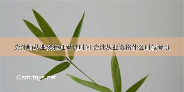 会计师从业资格证考试时间 会计从业资格什么时候考试