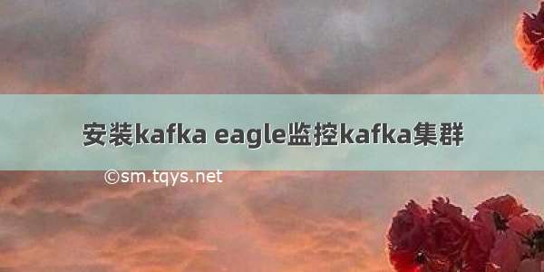 安装kafka eagle监控kafka集群
