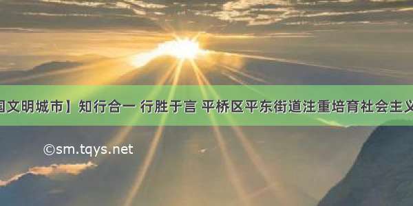 【创建全国文明城市】知行合一 行胜于言 平桥区平东街道注重培育社会主义核心价值观