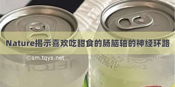 Nature揭示喜欢吃甜食的肠脑轴的神经环路