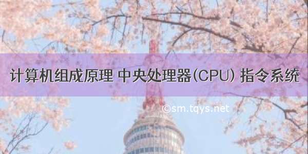 计算机组成原理 中央处理器(CPU) 指令系统