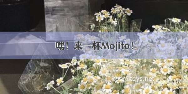 嘿！来一杯Mojito！